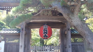 鎌倉に行ったらぜひ。