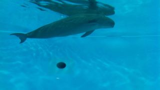 新しくて快適な水族館