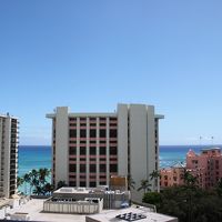 少し見えただけでも満足かな