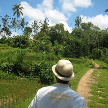 ｼﾞｬﾝｸﾞﾙを出て村へ、青空と緑と白い雲♪好きな1枚です