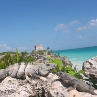 トゥルム遺跡（ホテルから車で２時間ほど）