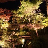 お食事処から見える綺麗な庭園