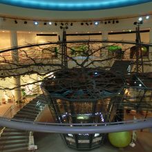 館の中心には梨の木があります