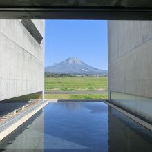 館内からの大山