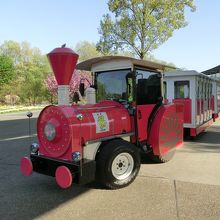 フラワートレイン