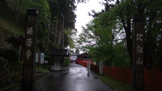 自然も素敵です。