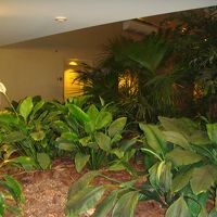 回廊にある中庭です