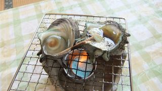 新鮮な魚介がいただけるお店