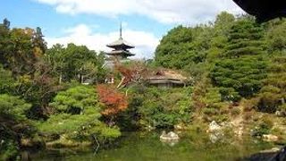 広大な敷地にすばらしい庭から眺める景色が印象的