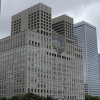 余り高くはないですが、重厚な感じでしょう。