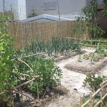 つばめの杜ひろば:展望テラスからの眺め