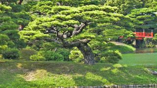 高松に来たら、ぜひ