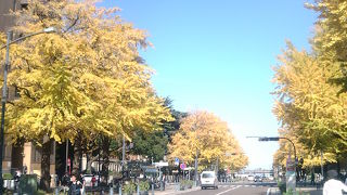 紅葉の時期におススメです