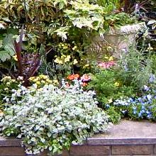 ホテルモントレ大阪の横にて、綺麗だったのでパチリ