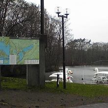 スワンボートなどもあります