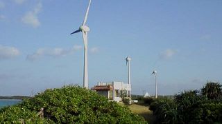 宮古馬も見逃せない！