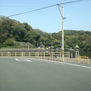 海水と淡水が混じる池らしいです。