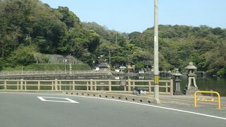 海水と淡水が混じる池らしいです。