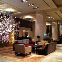 ロビーエリアには早々と桜のディスプレイ。桜の咲く頃に来たい