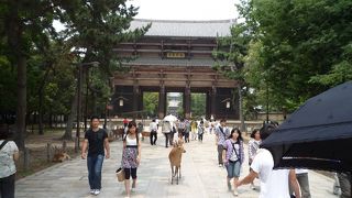 南大門・・・「東大寺」の入口を飾るに相応しい巨大な門です。