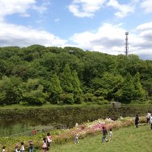 Beautiful view near the lake 