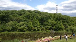 よこはま動物園