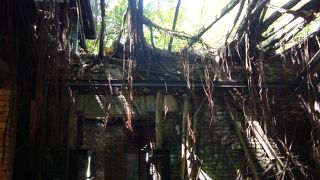 ジャングルのような安平樹屋