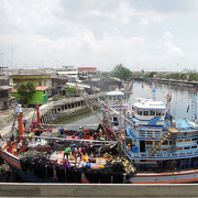 タイの海老相場が決まる漁港、マハチャイ市場は活気がある