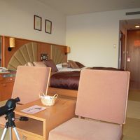 部屋からバードウォッチング