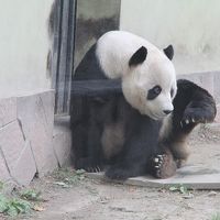 上海動物園