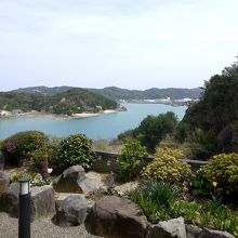 和室からの風景