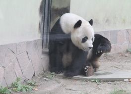 上海動物園