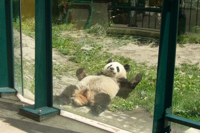 シェーンブルン動物園