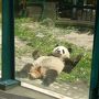 シェーンブルン動物園