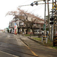 津軽鉄道の踏切越しに見る民宿。目の前は芦野公園入口