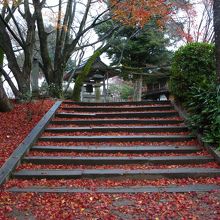 秋彩の階段