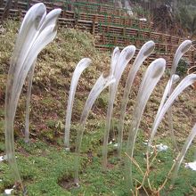 庭園奥のガラスのオブジェ。早川はこの下。