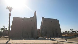 ルクソール神殿を観光するなら午前中がいい