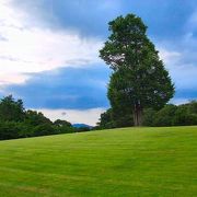 私は気に入ってます，この公園