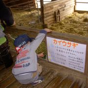 一日中遊ぶことが出来ます