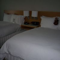 らっこのぬいぐるみが可愛い