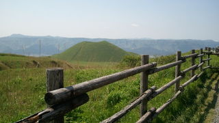 緑・緑・緑！！