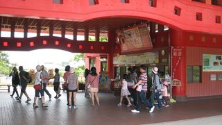 楽しみにしていた所です