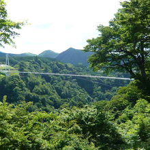 反対側の丘の上から