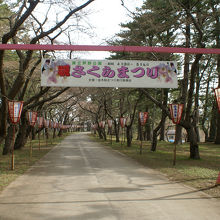 桜は咲いていないですが、桜まつりはスケジュール通り一応開催。