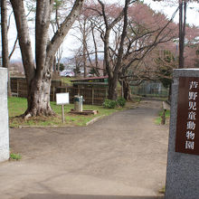 公園内にはちびっこ動物園も。