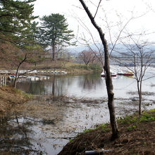公園の池には定番の白鳥ボートなどが。