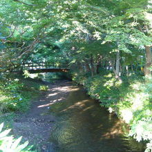 金鱗湖の近くの小川