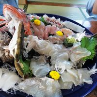 ホウボウとヒラメのお造り