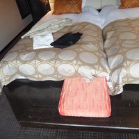 初めて見るタイプのベッド。お子さん連れにも良さそうです